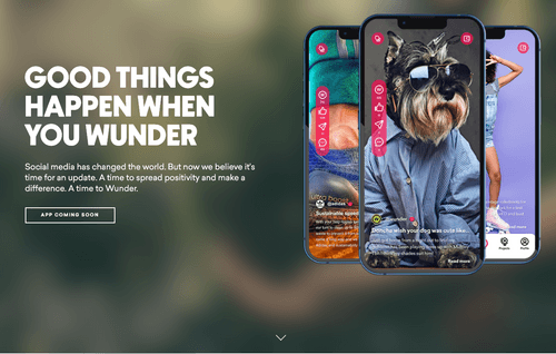 Screen shot of Wunder's website