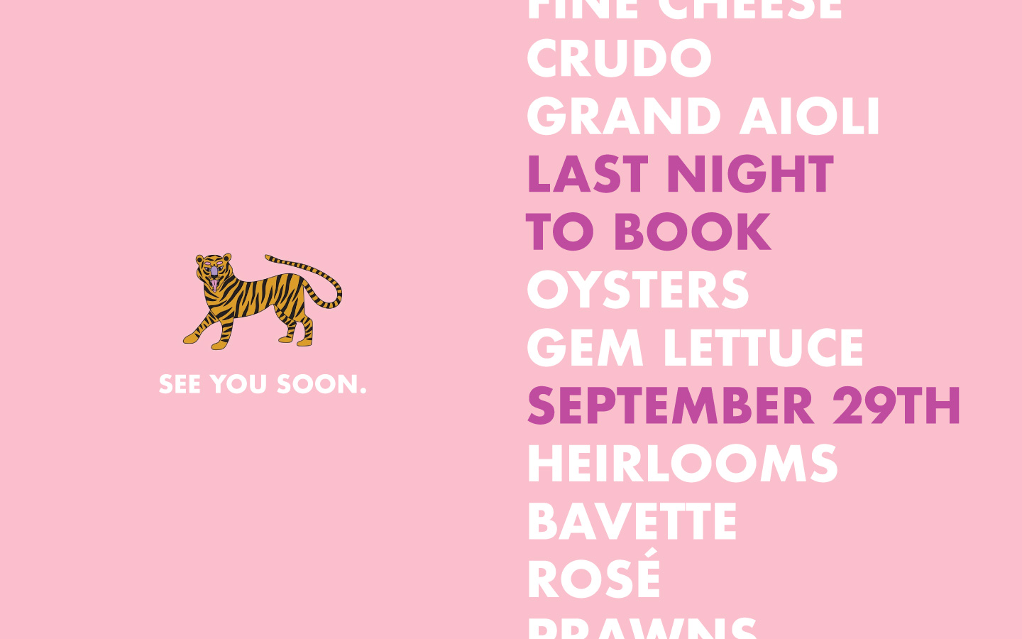 Brand illustration and typography for Nights & Weekends