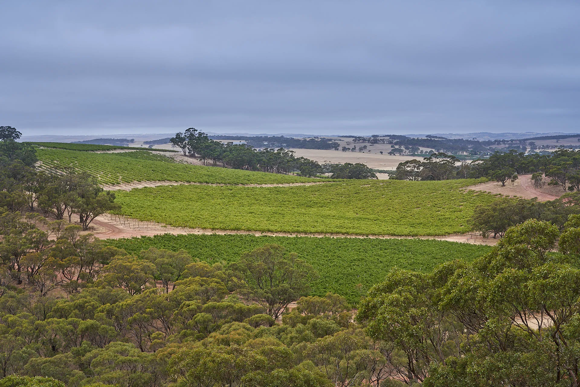 Geier Vinyard Side far view