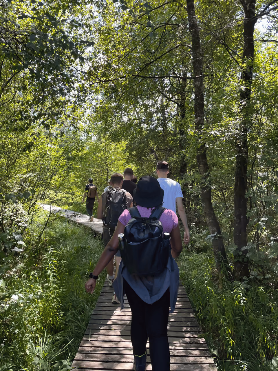 Personen wandern auf einem Steg im Grünen