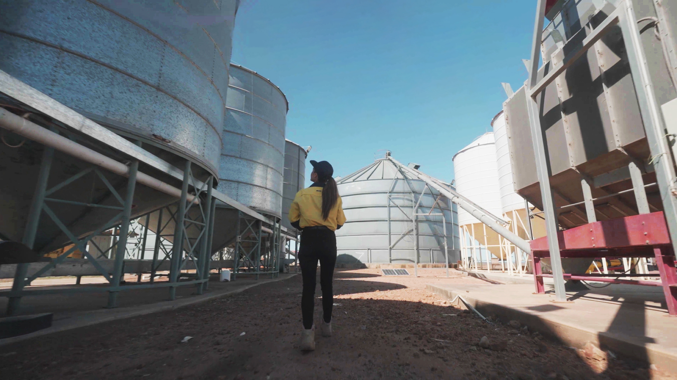 Wellbeing and Safety