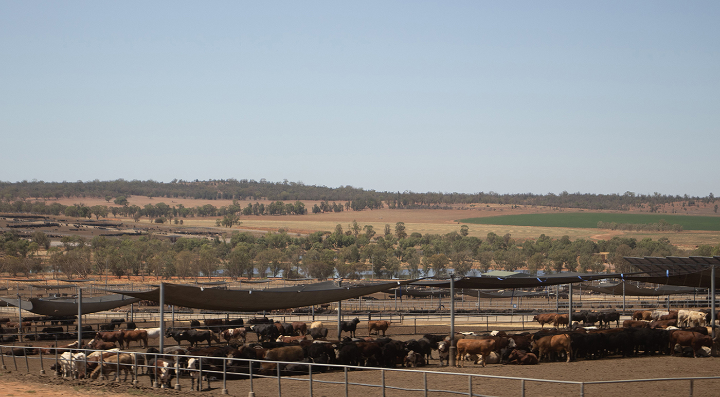 Notice of Meetings and Explanatory Memorandum 2026