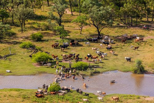 Property profile: Natal Aggregation