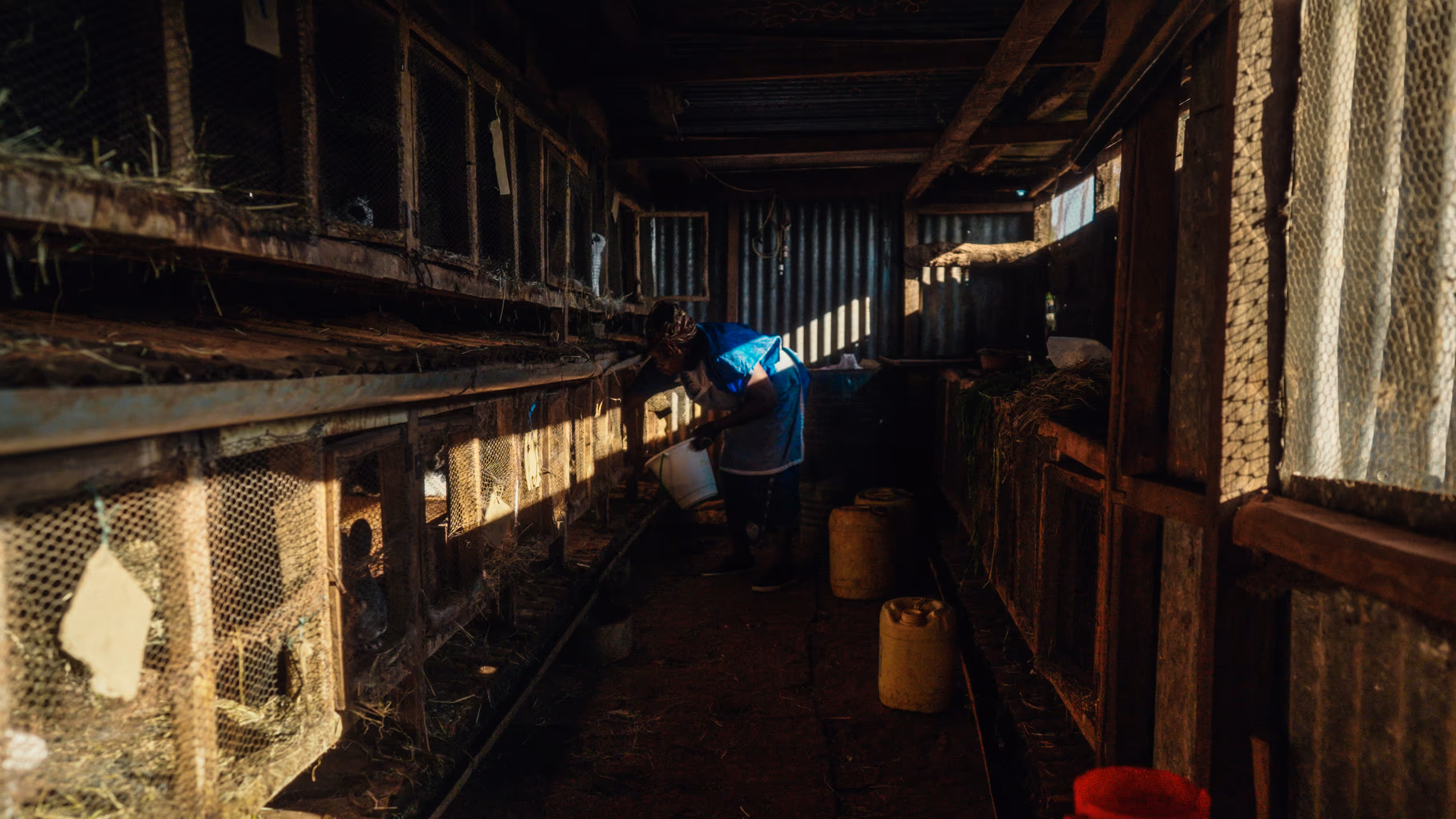 BAFTA nominated Timothy Myers ACS is a prominent Los Angeles based documentary, news, and commercial director of photography, Walkley Excellence in Journalism awardee, and Australian Cinematographers Society Golden Tripod winner.