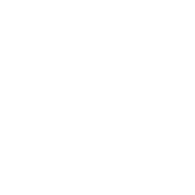 Ronen Pessar logo