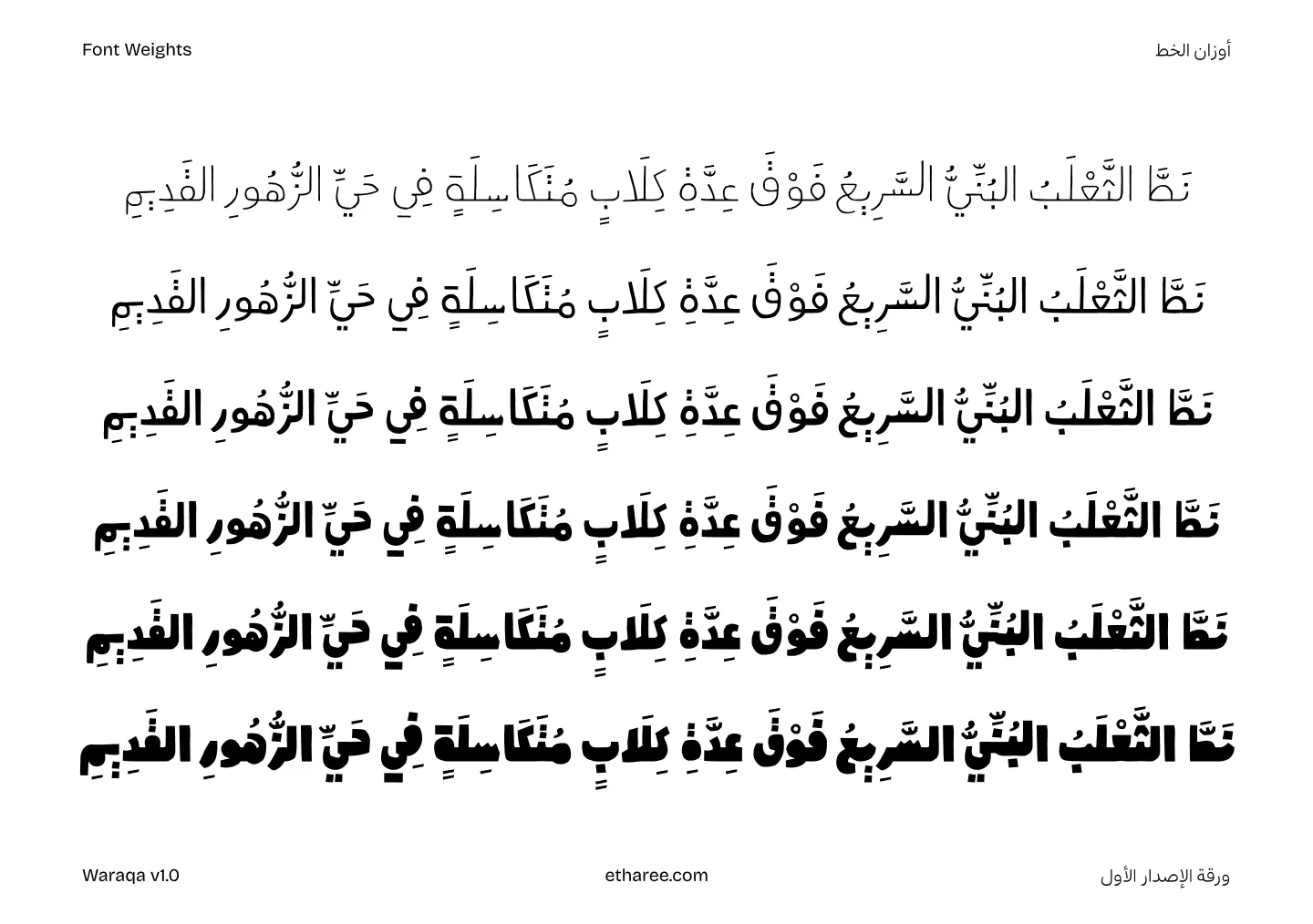 Samples of Arabic text showing font weights from thin to bold in Waraqa font version 1.0.