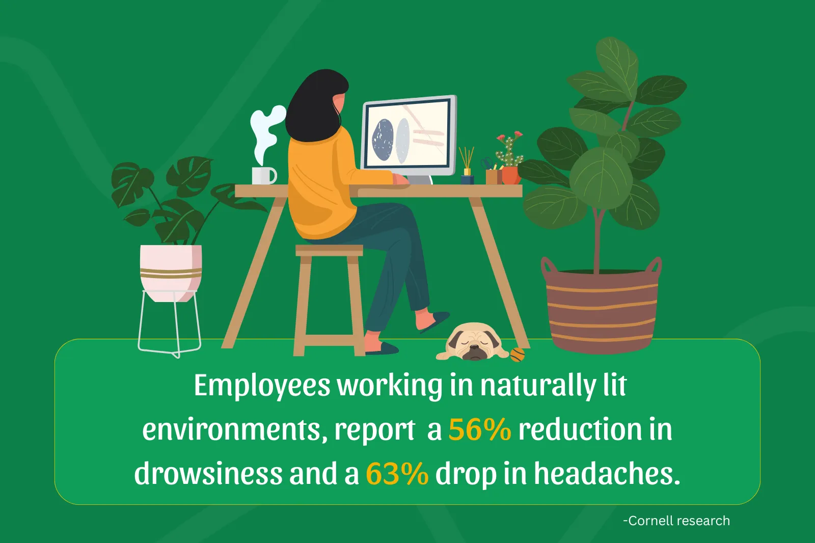 Wondering how to improve your employee's well-being? Add plants to your office.