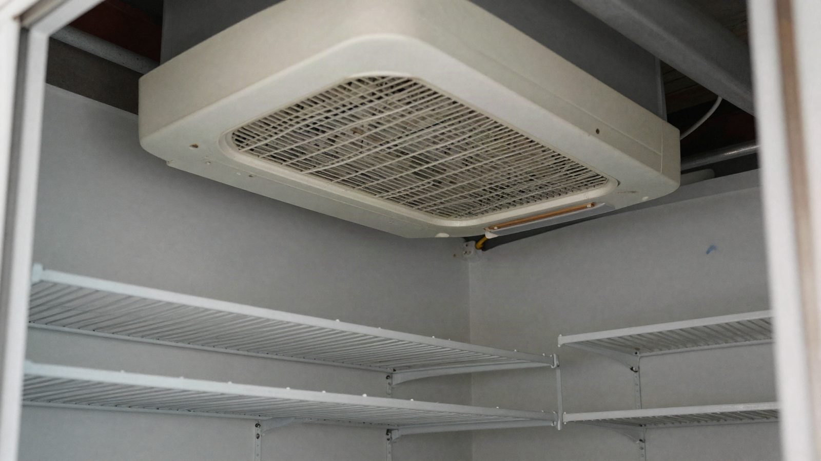 The inside of a walk-in cooler with the evaporator above the shelving