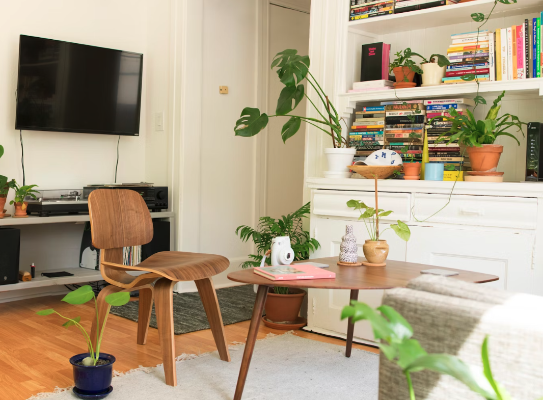 Apartment interior