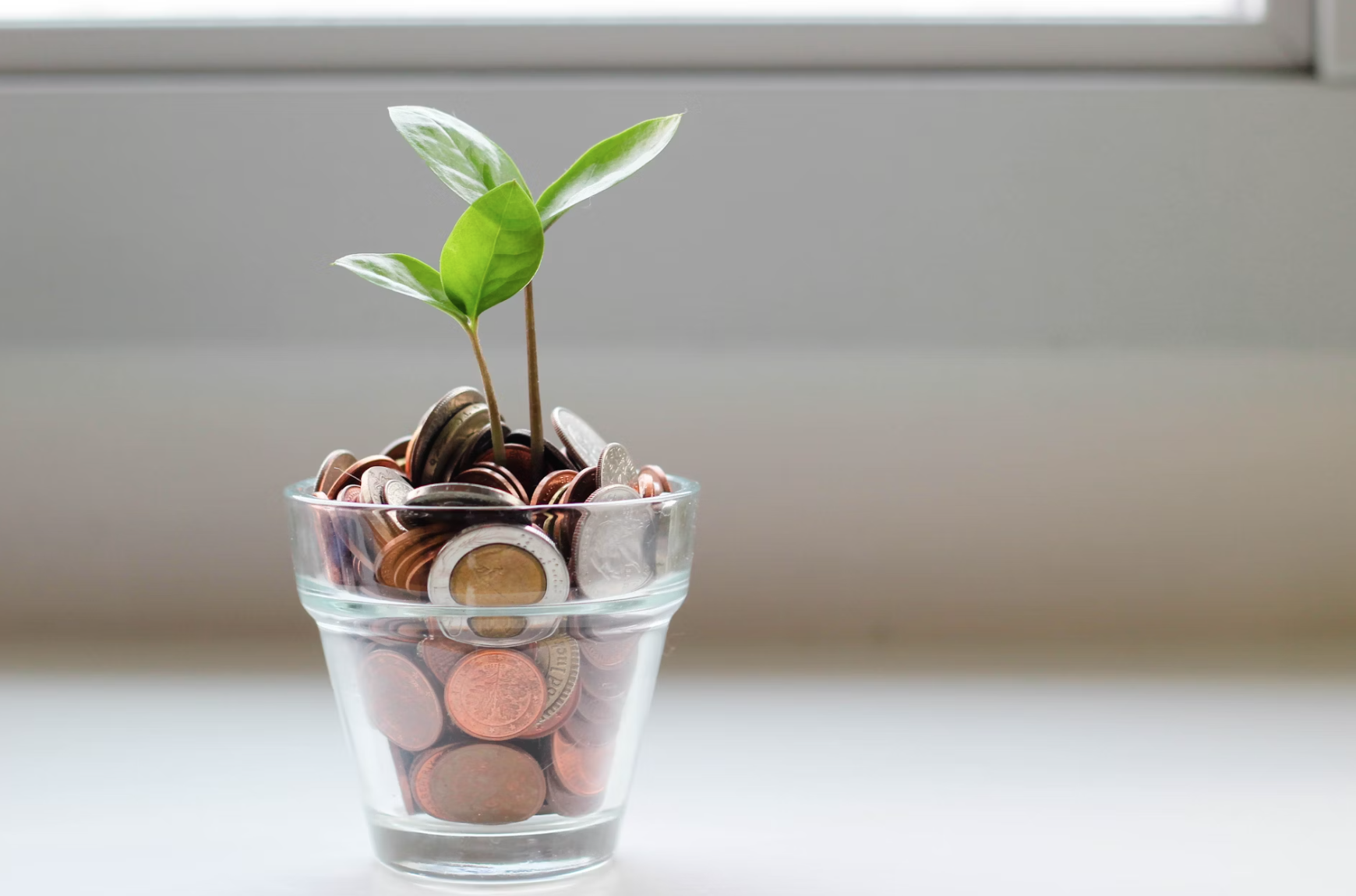Growing money 