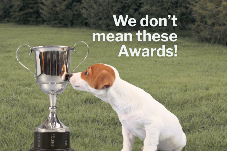 Modern Awards confusion. picture of puppy and trophy. Image on text: We don't mean these awads