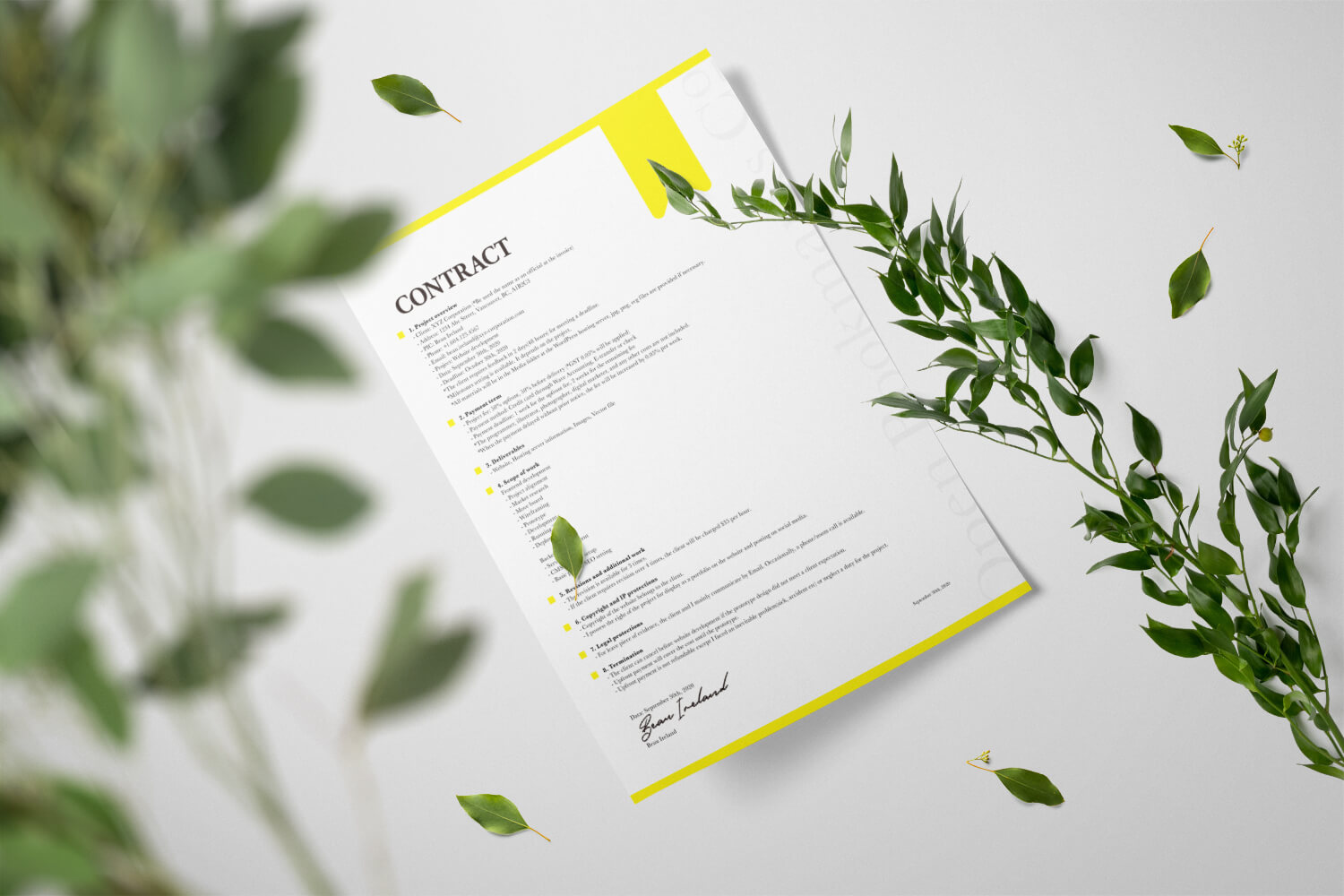 Open Bookmarks Co., Portfolio,