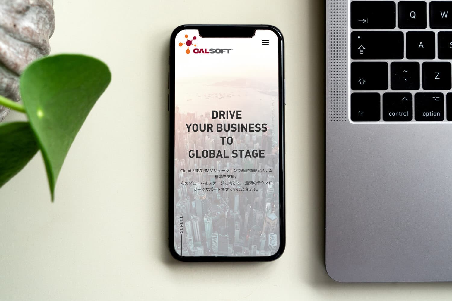 Open Bookmarks Co., Portfolio,