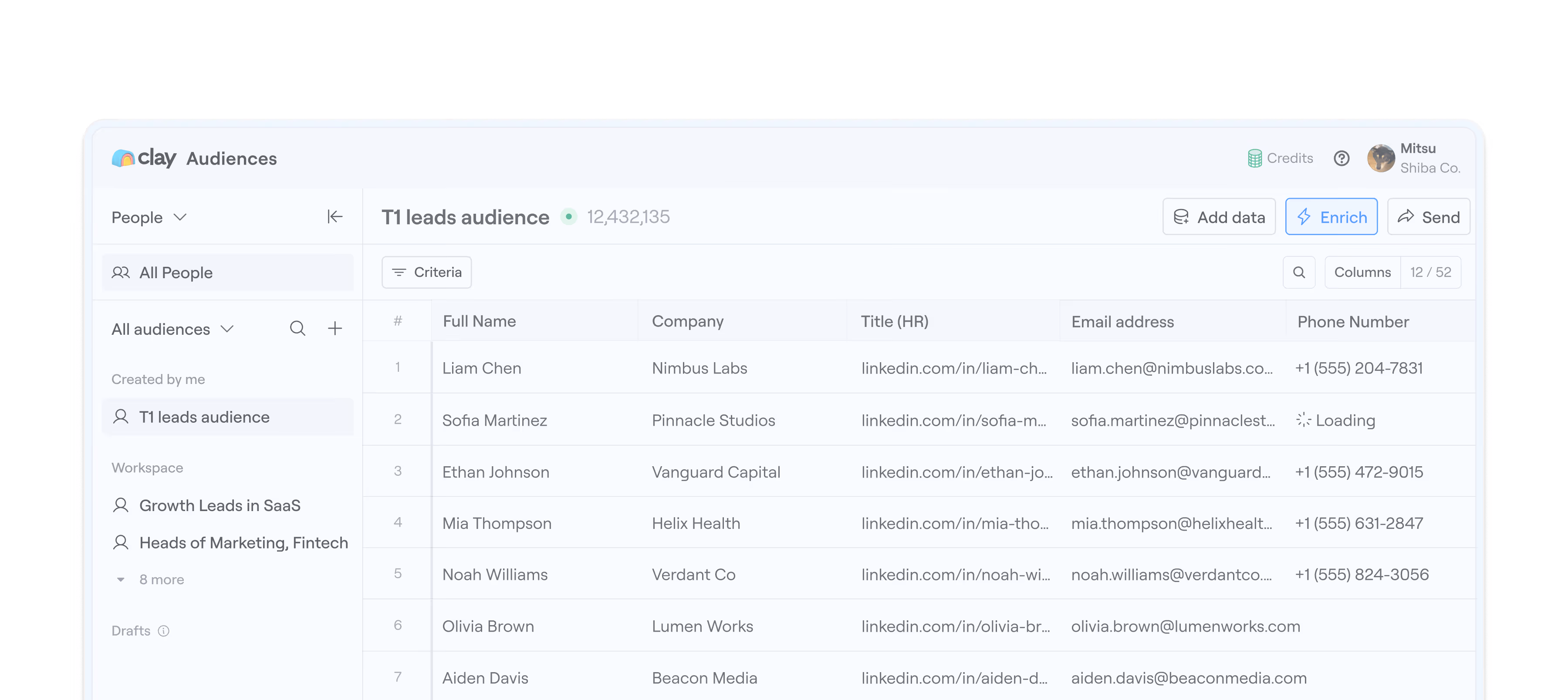 CRM audience table showing names, companies, LinkedIn URLs, emails, and phone numbers of contacts.