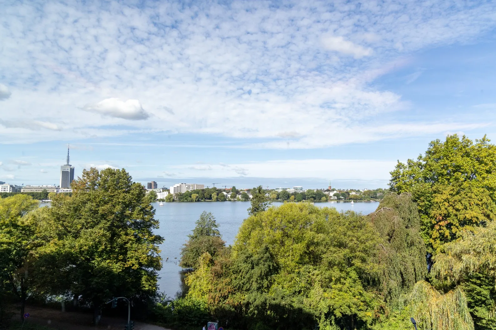 Blick auf einen See, im Vordergrund grüne Bäume