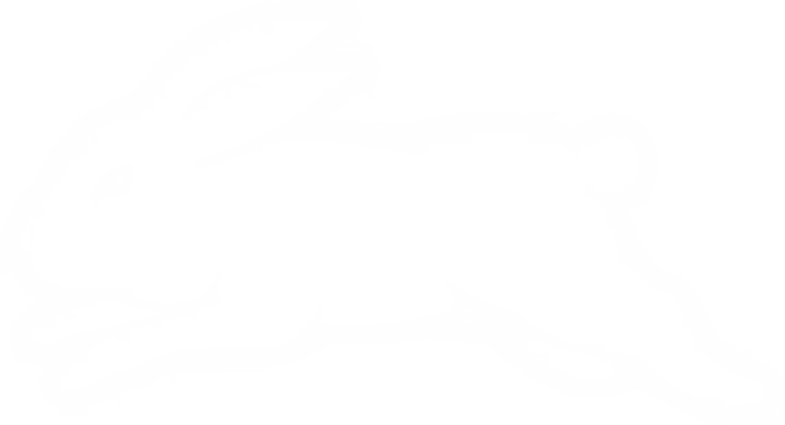 Rabbitohs