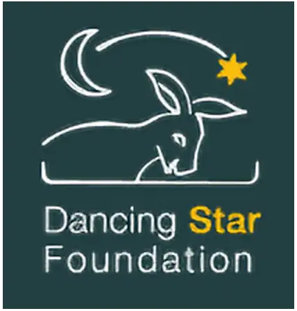 Dancing Star Foundation Logo