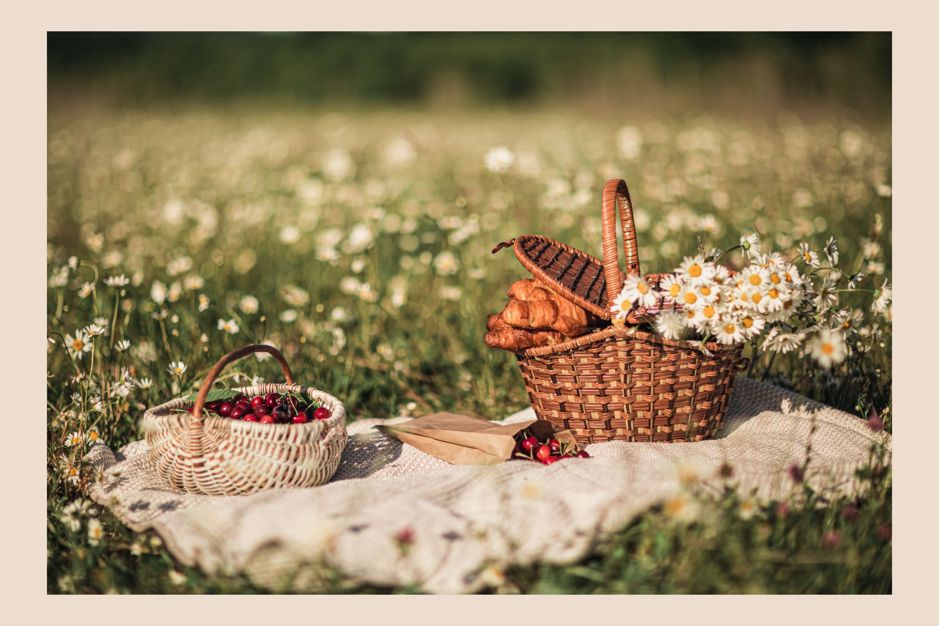 Where to Picnic in the Cotswolds: Our Favorite Scenic Locations
