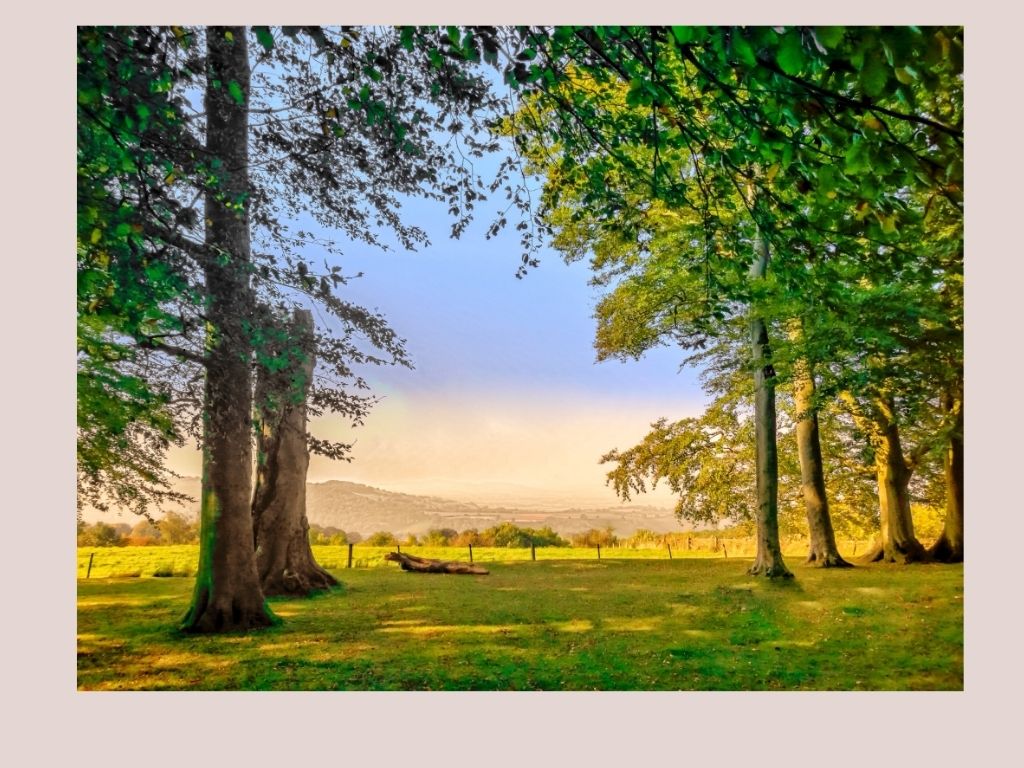 30 Free Family Adventures in the Cotswolds This Summer