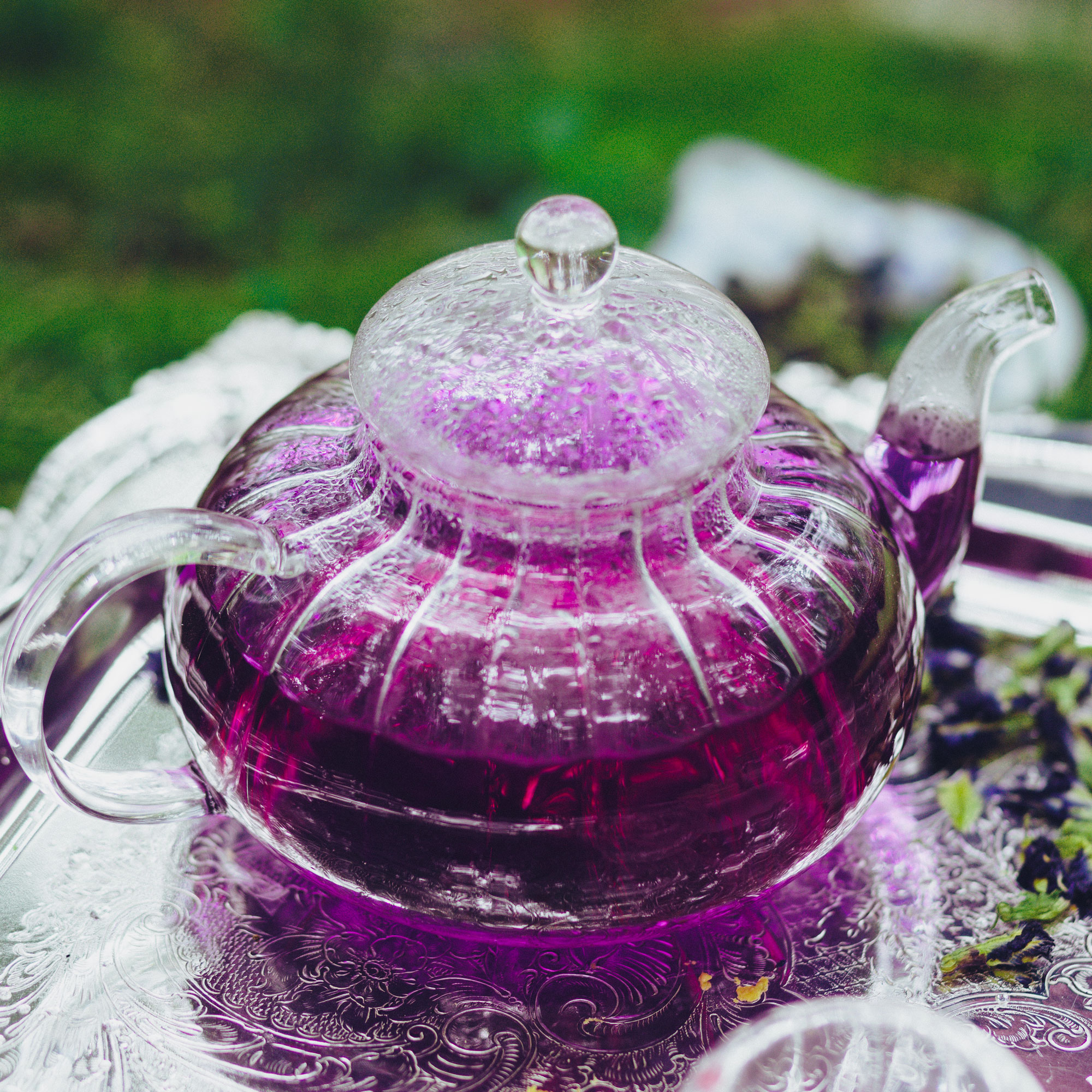 Purple tea in glass kettle