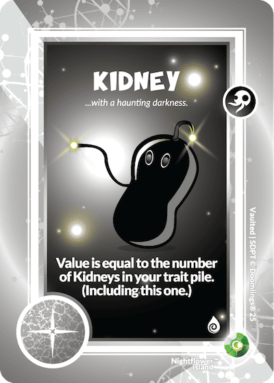 KIDNEY (13)