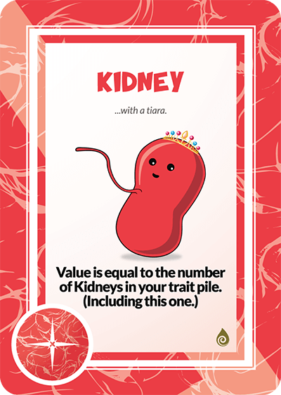 KIDNEY (7)