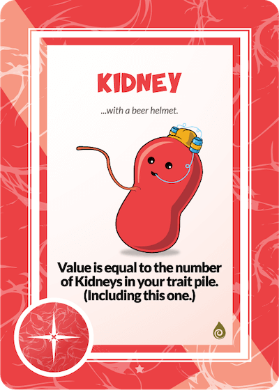KIDNEY (5)