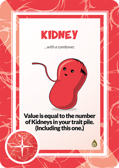 KIDNEY (6)