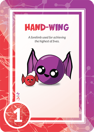 HAND-WING