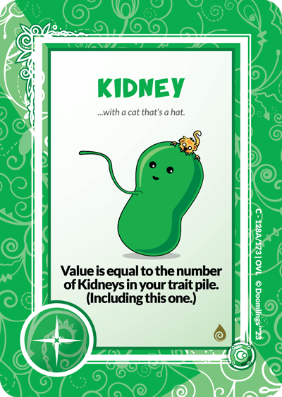 KIDNEY (8)