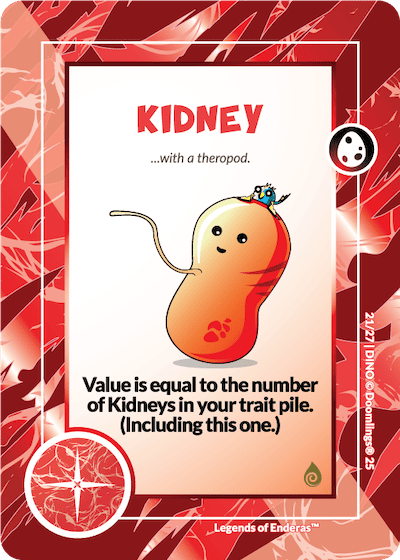 KIDNEY (10)