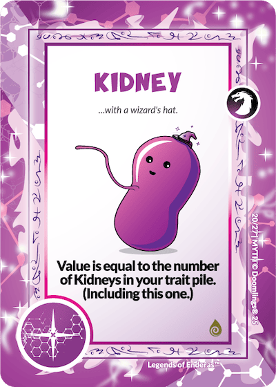 KIDNEY (11)