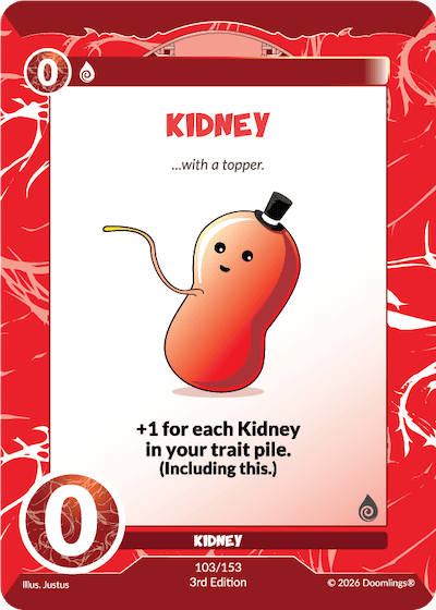 KIDNEY (4)