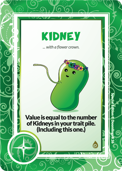 KIDNEY (22)