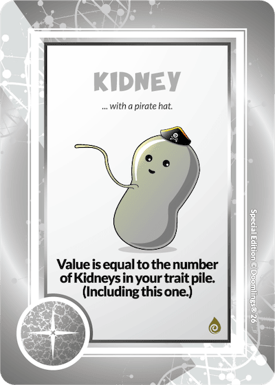 KIDNEY (23)