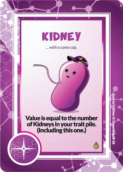 KIDNEY (24)