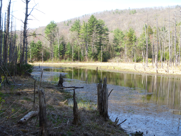 Soufinowski Land Preserve