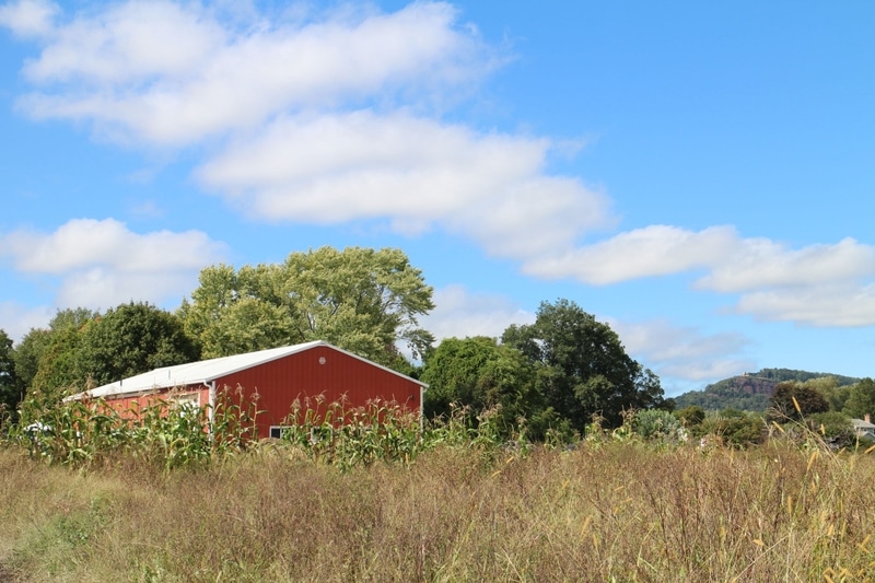 Contact Us - Reed Farm