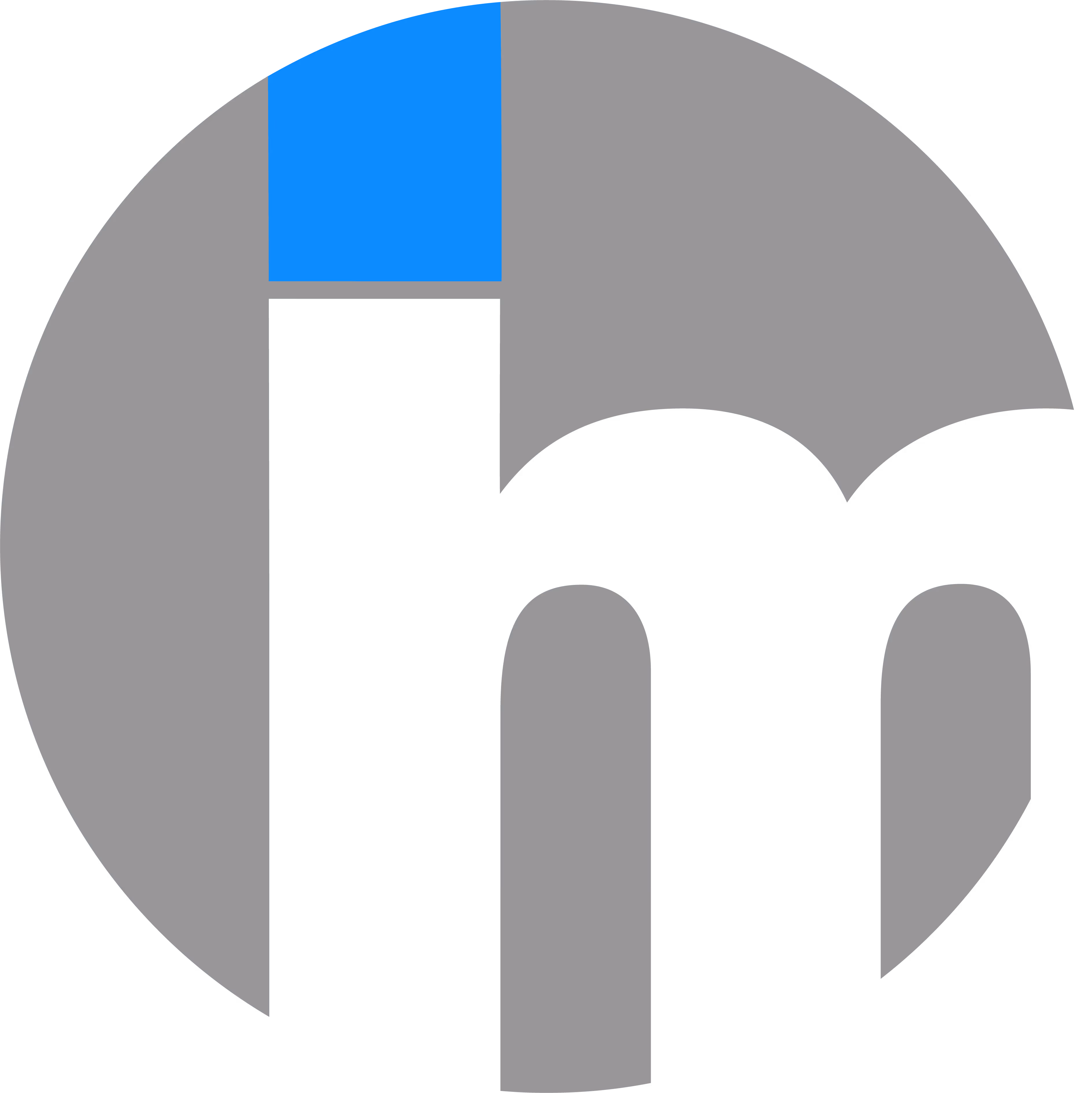 InfoMagnus Icon Logo.