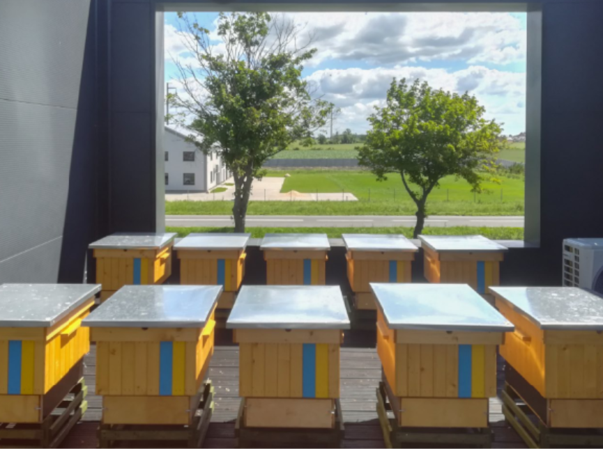 Balance and responsibility