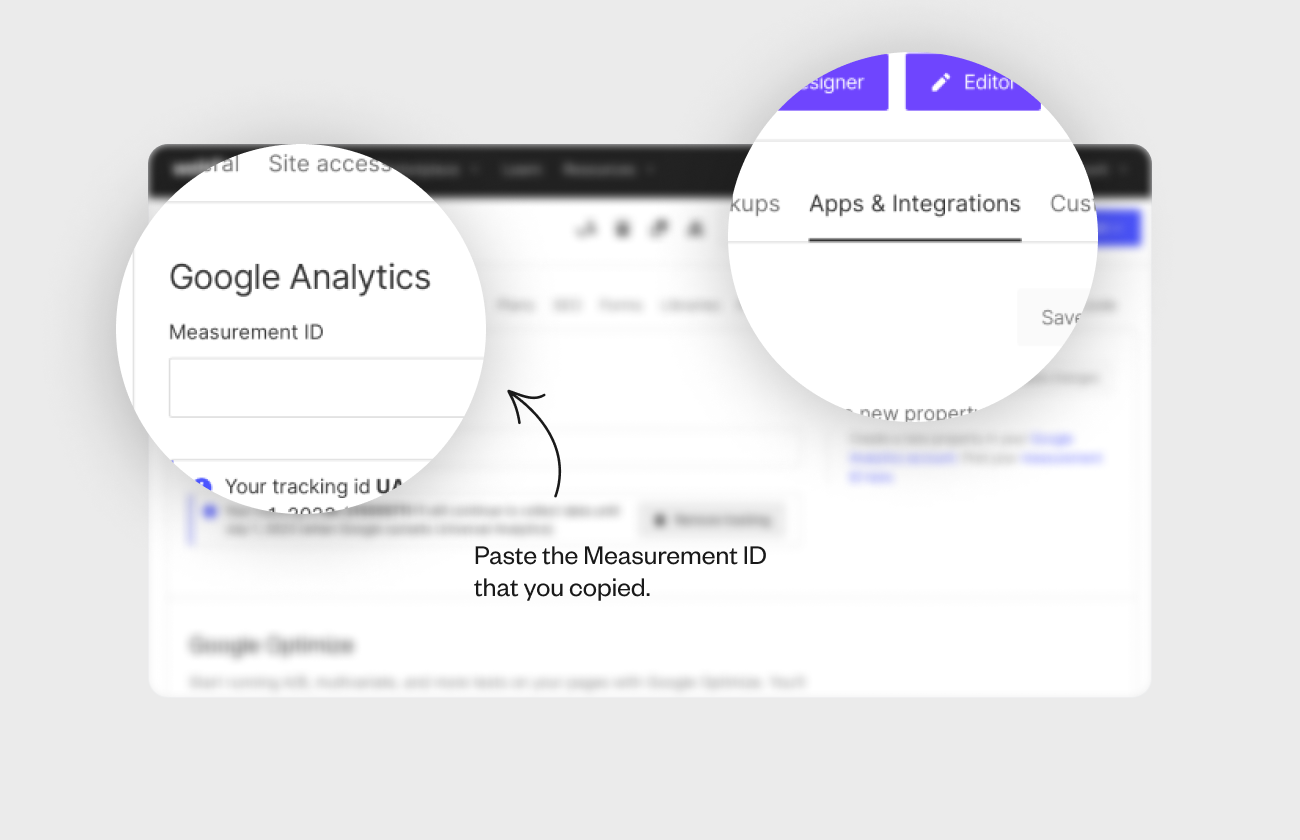 Setting up Polyflow in Webflow