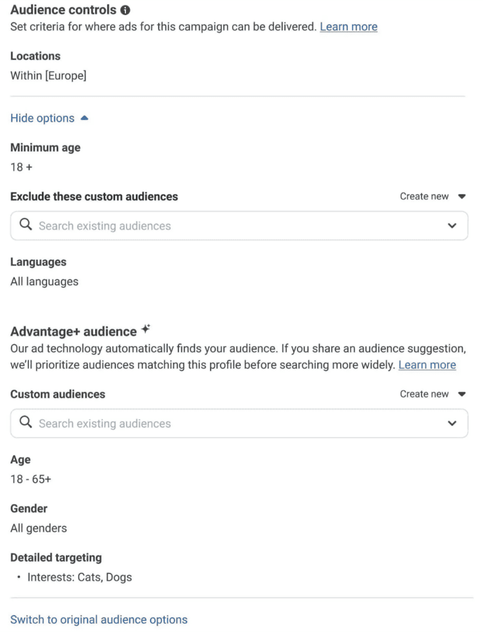 Meta Ads Manager - Audience controls 
