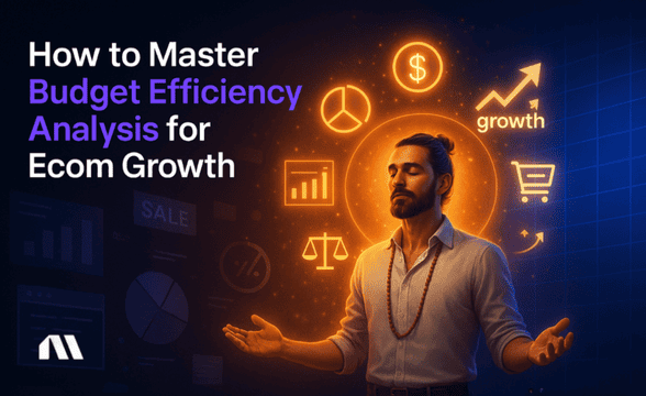 Budget Efficiency Analysis