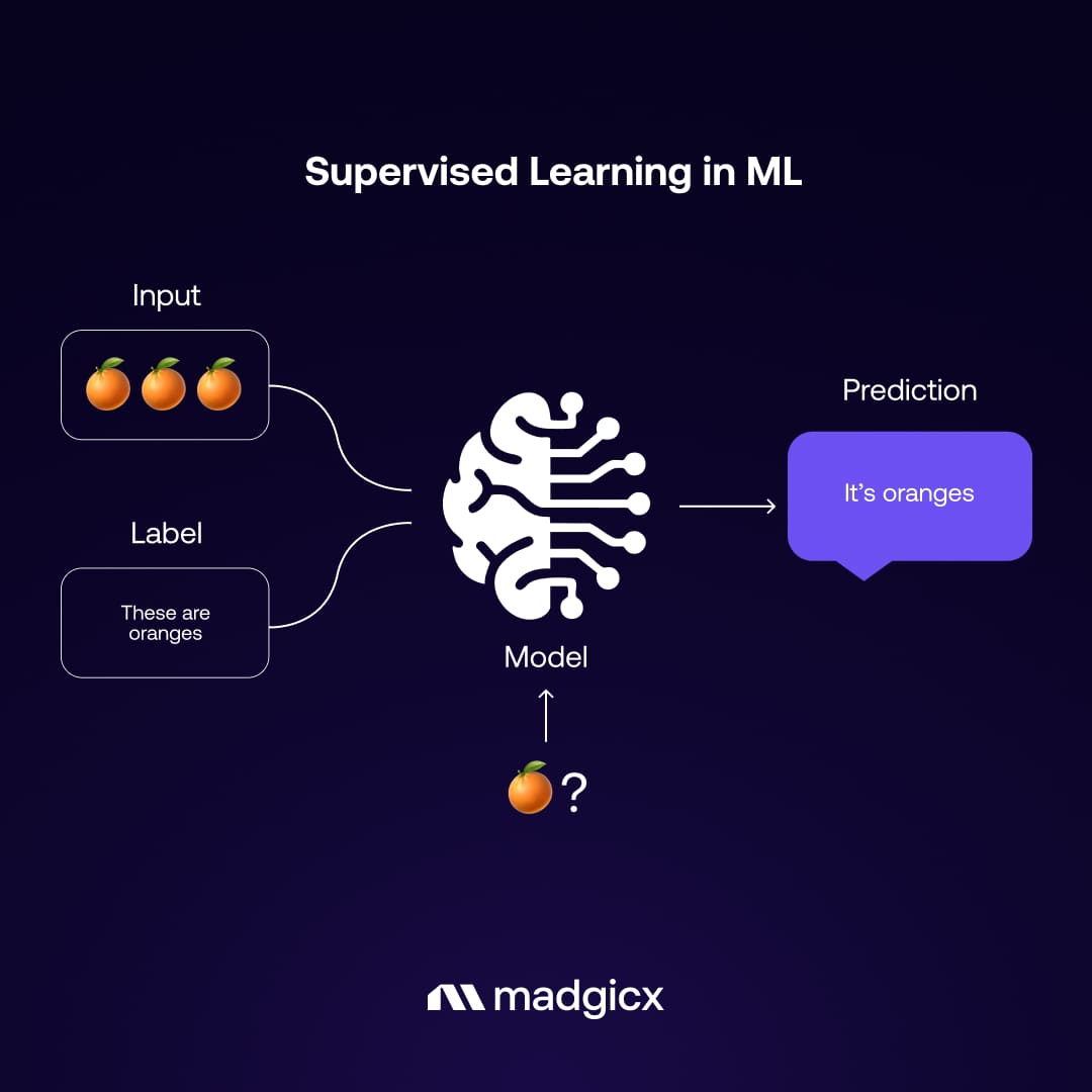 Supervised Learning in Machine Learning
