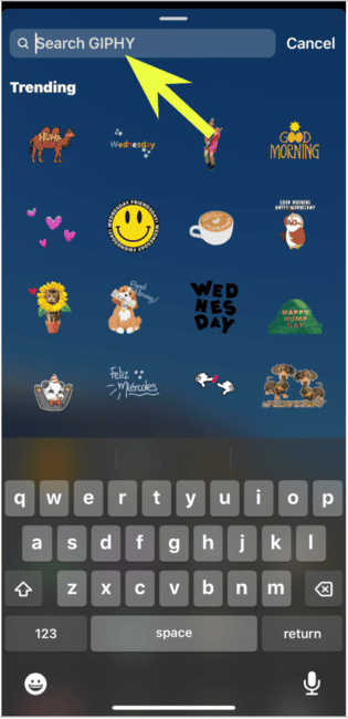Instagram Story - gif search