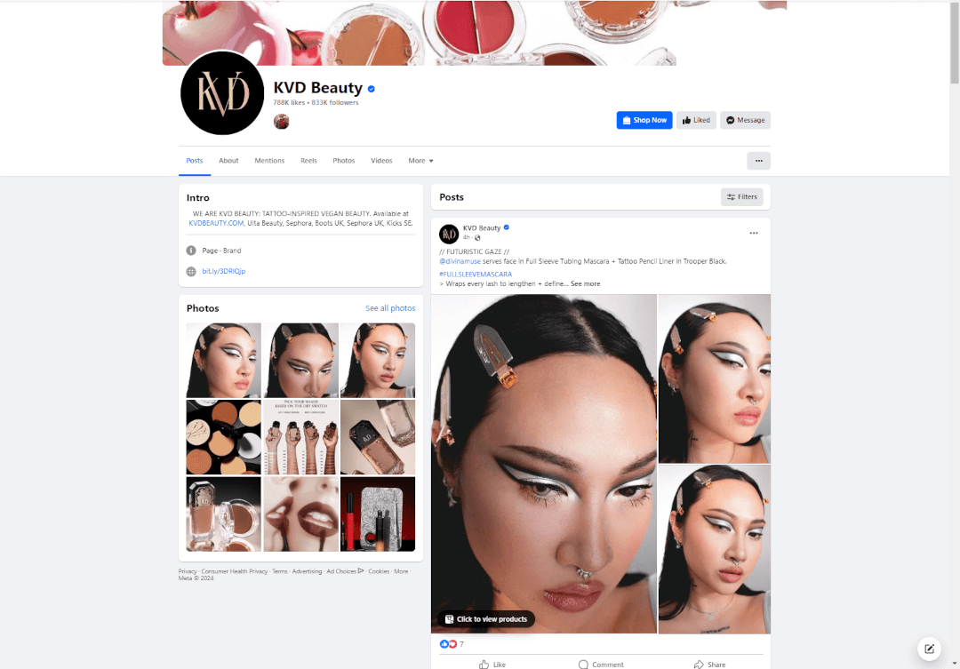 Facebook Page Example