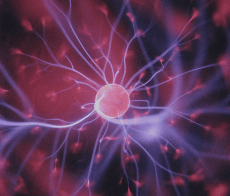 From Exam to Explanation: Helping Patients See the Science of Neuroplastic Pain