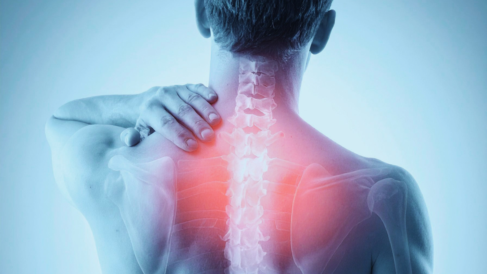 25 Nervous System Signaling Chronic Pain Trends