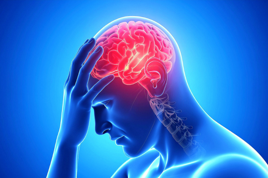 7 Best Pain Neuroscience Education Programs In 2026