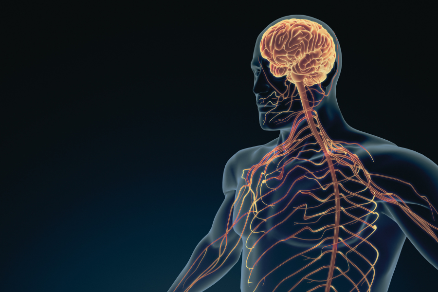 7 Best Nervous System Regulation Programs for Chronic Pain in 2026
